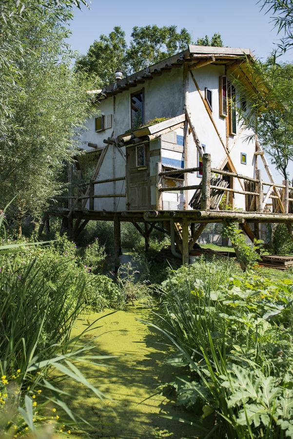 Reijgershof Bed & Breakfast Amsterdam Exterior photo